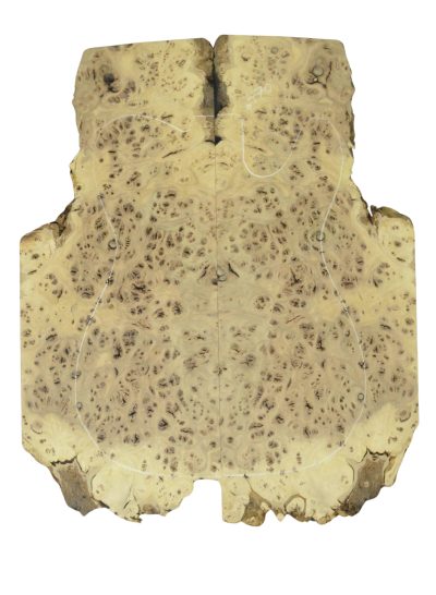 Elm (Red) GuitarSolidBodyTopATC 26213.G.003