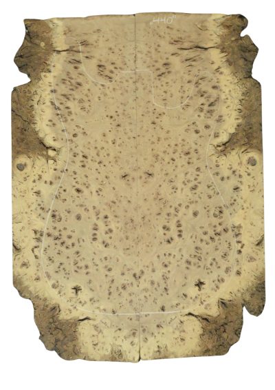 Elm (Red) GuitarSolidBodyTopATC 26213.G.007