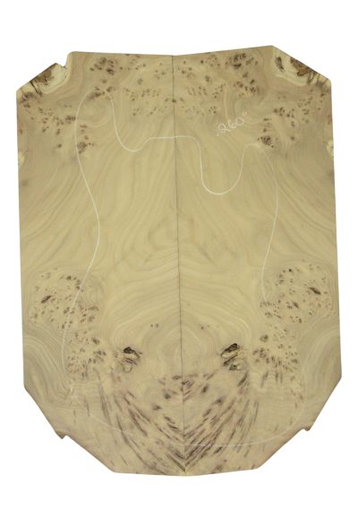 Elm (Red) GuitarSolidBodyTopATC 26213.G.012