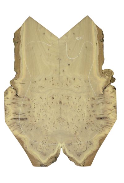 Elm (Red) GuitarSolidBodyTopATC 26213.G.013