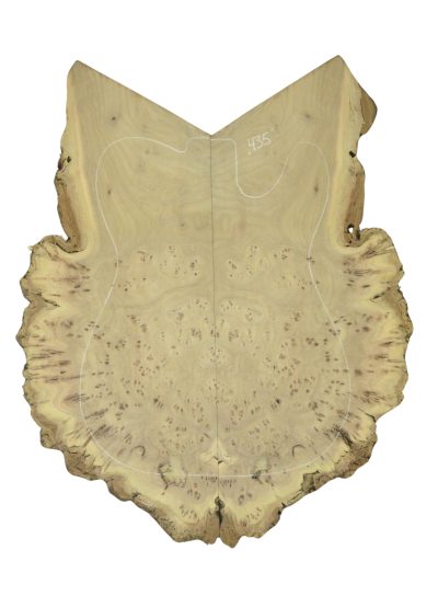 Elm (Red) GuitarSolidBodyTopATC 26213.G.014