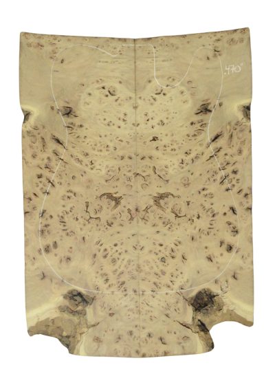 Elm (Red) GuitarSolidBodyTopATC 26213.G.016