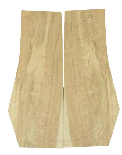 Maple (Big Leaf) GuitarSolidBodyTopATC 26214.G.001