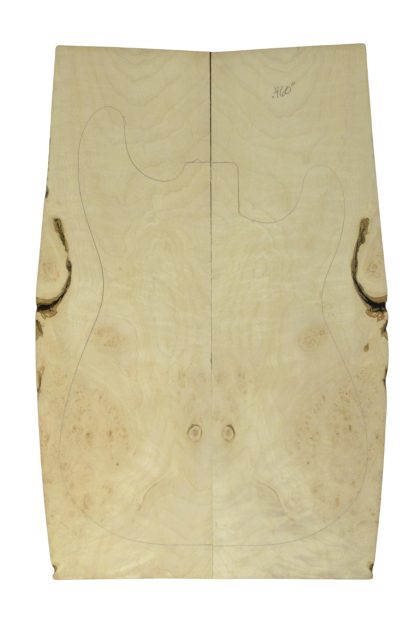 Maple (Big Leaf) GuitarSolidBodyTopATC 26216.G.004