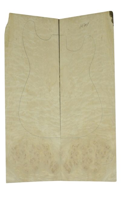 Maple (Big Leaf) GuitarSolidBodyTopATC 26216.G.009