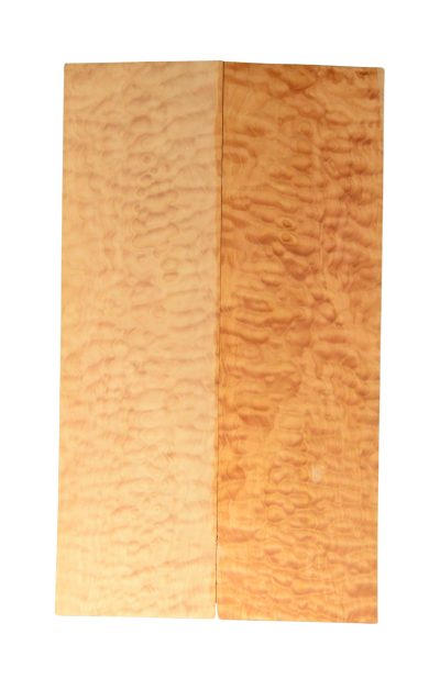 Maple (Big Leaf) GuitarSolidBodyTopATC 26303.G.002