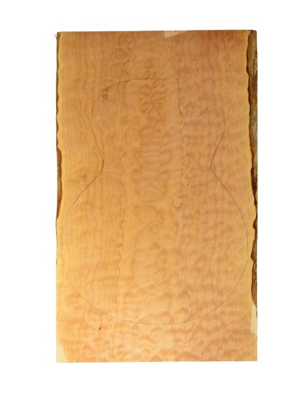 Maple (Big Leaf) GuitarSolidBodyTopATC 26303.G.008