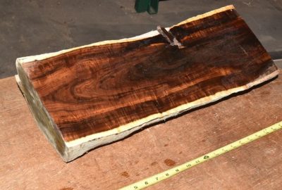 Gidgee Block 2789.BURL.010