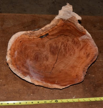 Black Box Burl 2789.BURL.033