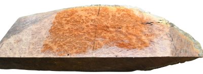 Black Box Burl 2983.BURL.002