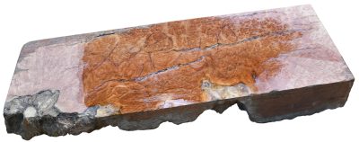 Black Box Burl 2983.BURL.004