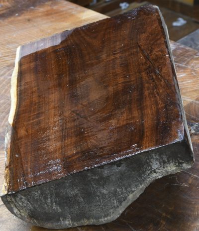 Gidgee Block 2983.BURL.032