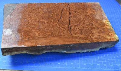 Red Coolibah Burl 2983.BURL.076