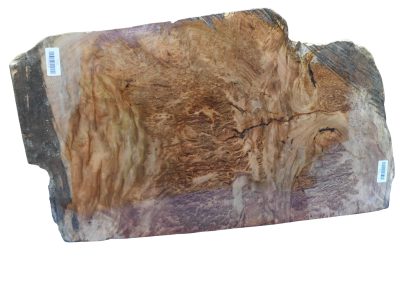 Black Box Burl 2983.BURL.080
