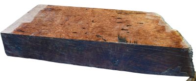 Red Coolibah Burl 2983.BURL.091