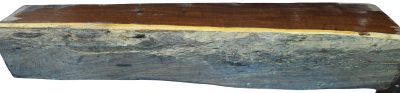 Ironwood Wattle Burl 2983.BURL.094