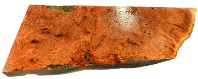 Black Box Burl 2983.BURL.123