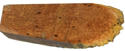 Black Box Burl 2983.BURL.127