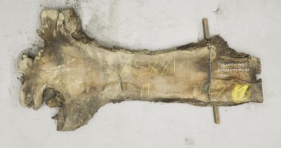 Walnut (Claro) Board BA5881