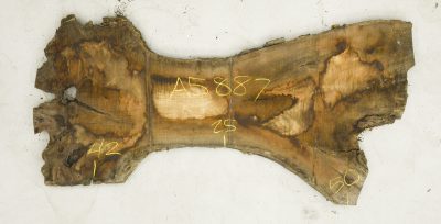 Walnut (Claro) Board BA5887