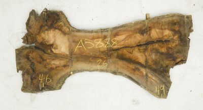 Walnut (Claro) Board BA5888