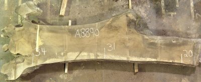 Walnut (European) Board BA8890