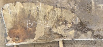 Oak (European) Board BB0312