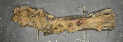 Walnut (European) Board BB3689