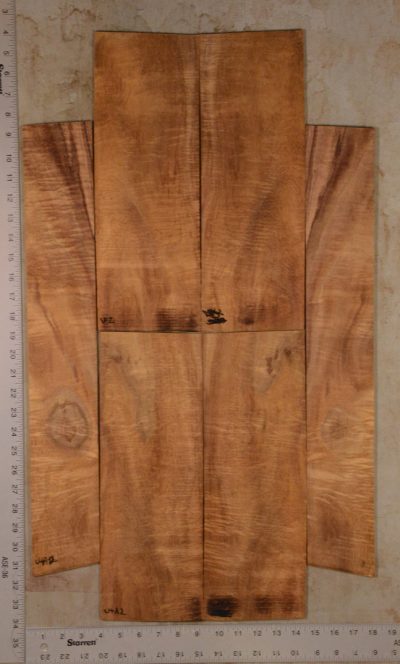 Koa UkeSet6pc BC1495.G.023