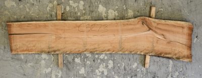 Cherry (American) Board BC3273