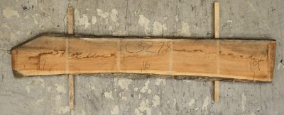 Cherry (American) Board BC3278