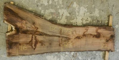 Walnut (Black) Board BC7173