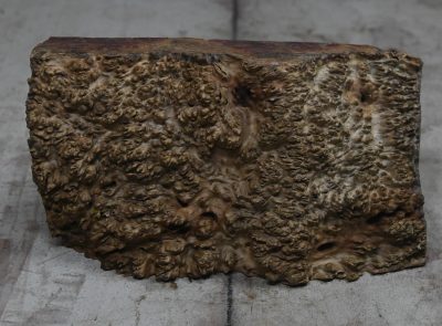Black Box Burl BLBX.BURL.009
