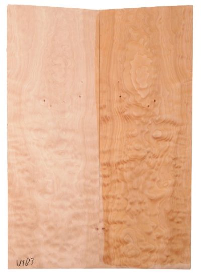 Maple (Big Leaf) GuitarSolidBodyTopATC C3370.G.112