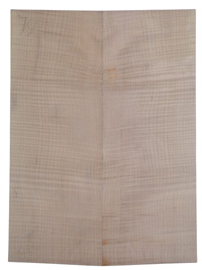 Maple (Big Leaf) GuitarSolidBodyTopATC CRLLP.G.023