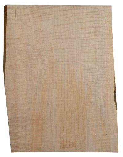 Maple (Big Leaf) GuitarSolidBodyTopATC CRLLP.G.031