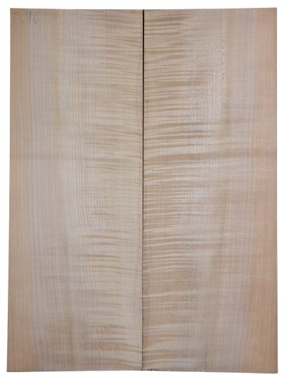 Maple (Big Leaf) GuitarSolidBodyTopATC CRLLP.G.045