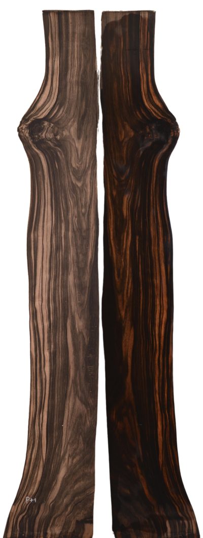 Ebony (Macassar) GuitarSides2pcATC EB.0002.G.020