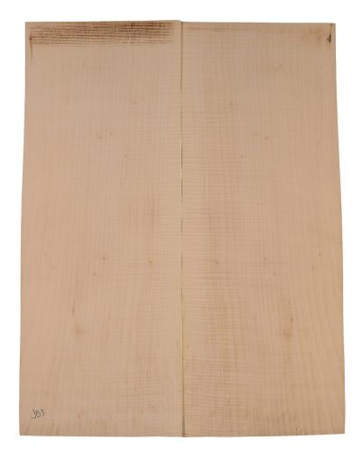 Sycamore (English) GuitarBack2pcATC EM.ENSYC1.016