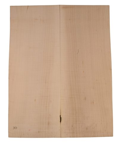 Sycamore (English) GuitarBack2pcATC EM.ENSYC1.018