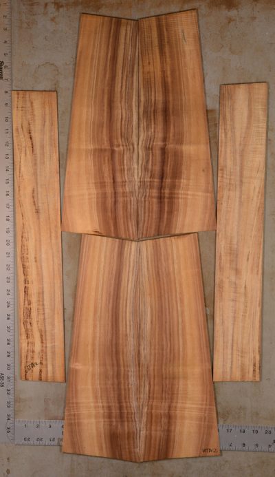 Koa UkeSet6pc KOA14.098
