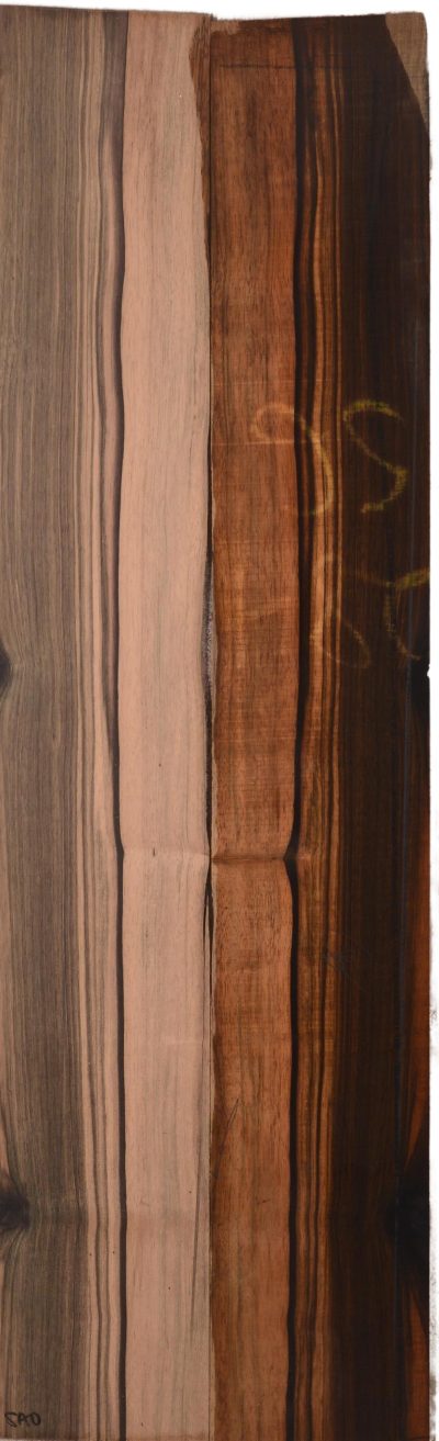 Ebony (Macassar) GuitarSides2pcATC L022977.G.012