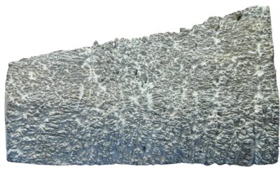 Black Box Burl 2983.BURL.085