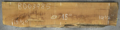 Pear (European) Board BD03985
