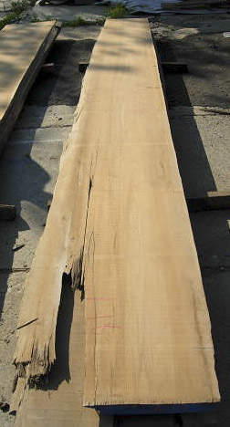 Teak (Burmese) Board B10063A19