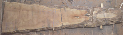 Sapele Board B14294