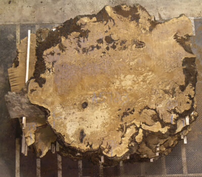 Oak (European) Board BA5723