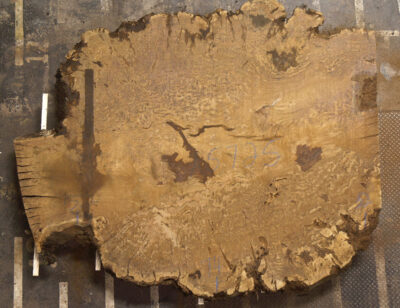 Oak (European) Board BA5725