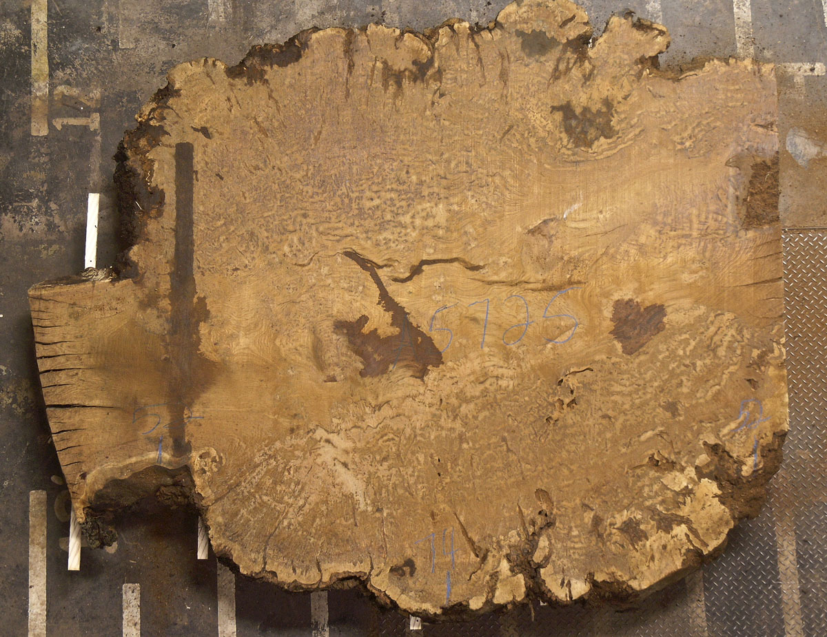 Oak (European) Board BA5725