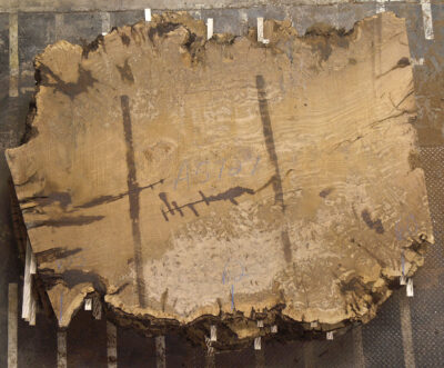 Oak (European) Board BA5727